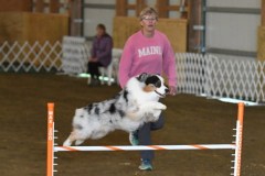 08-ASCA-Open-Novice-Jumpers-5Oct19