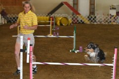 27-ASCA-Open-Novice-Jumpers-5Oct19