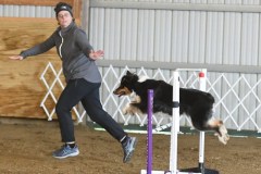 32-ASCA-Open-Novice-Jumpers-5Oct19