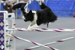 066-SAAC-AKC-25Aug19-ExMstr-JWW