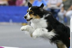 097-SAAC-AKC-25Aug19-ExMstr-JWW