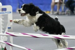 106-SAAC-AKC-25Aug19-ExMstr-JWW