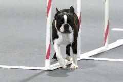 134-SAAC-AKC-25Aug19-ExMstr-JWW