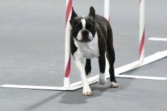 135-SAAC-AKC-25Aug19-ExMstr-JWW